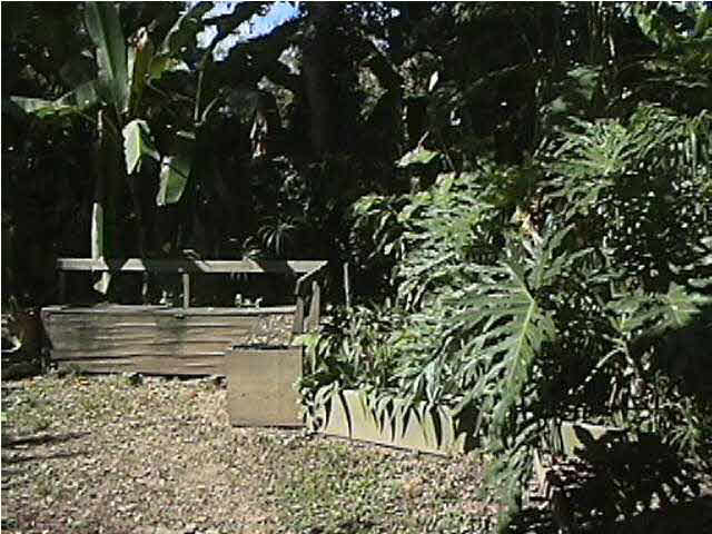 622 St Joseph Street Baton Rouge, LA 70802 - Photo 6 of 9 Gallery Image 6