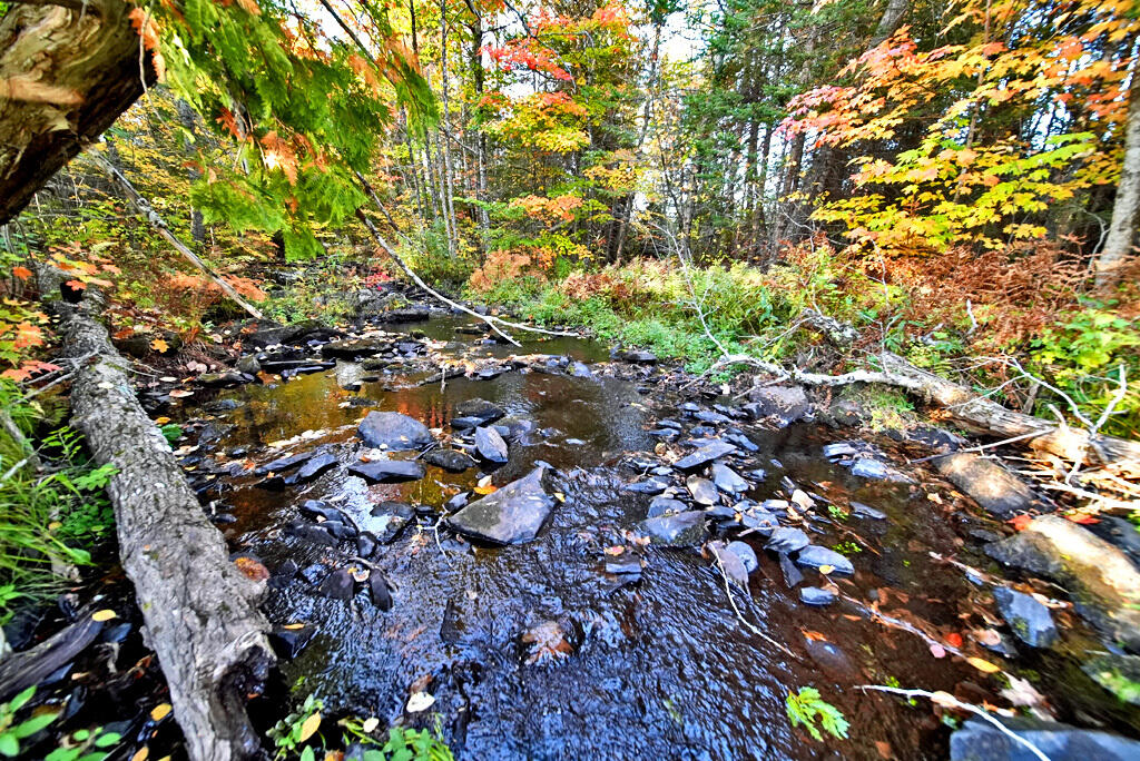 777 Bancroft Road Weston, ME 04424 - Photo 5 of 59 brook-me-land-house