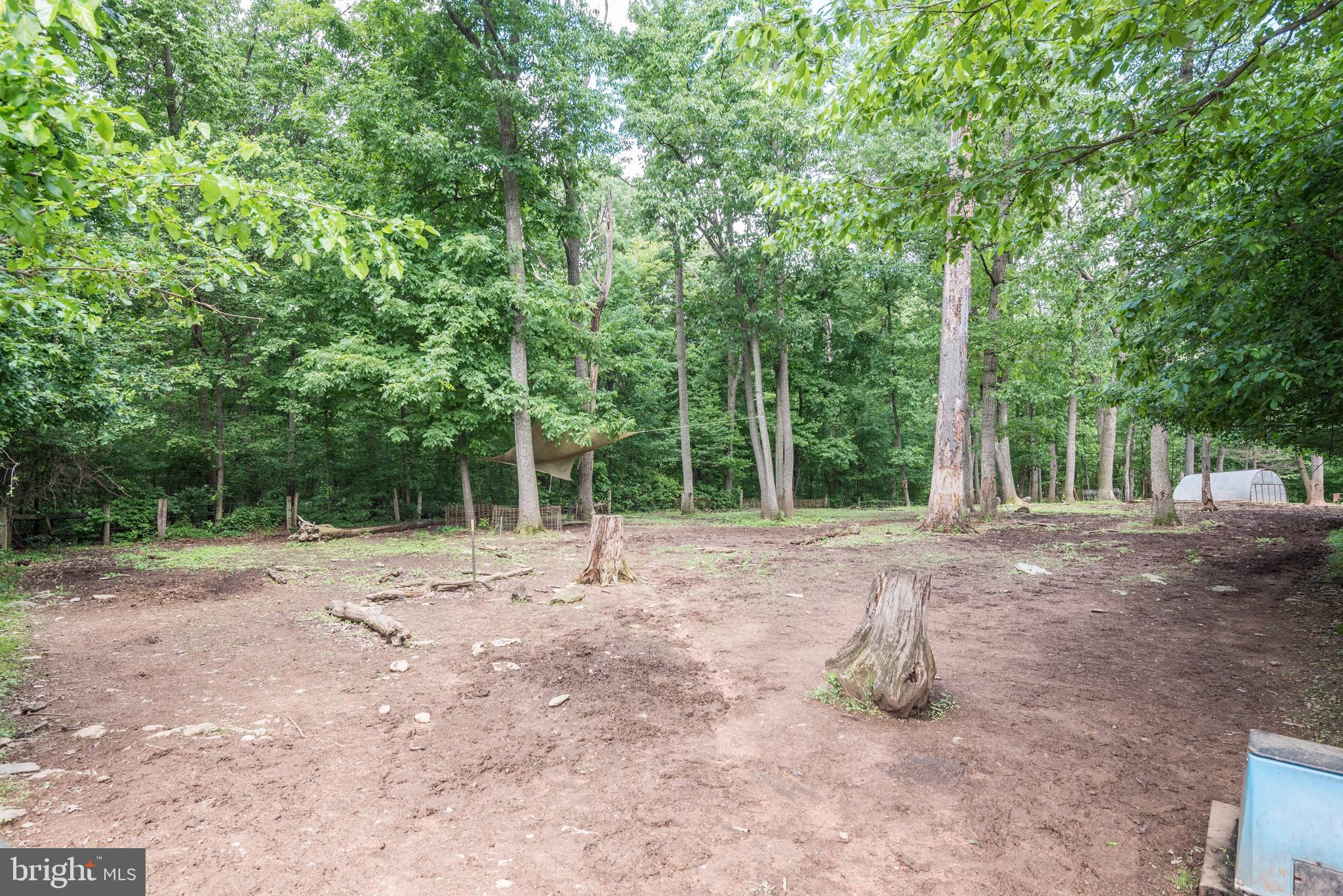 16120 Barnesville Road Boyds, MD 20841 - Photo 68 of 113 Gallery Image 68