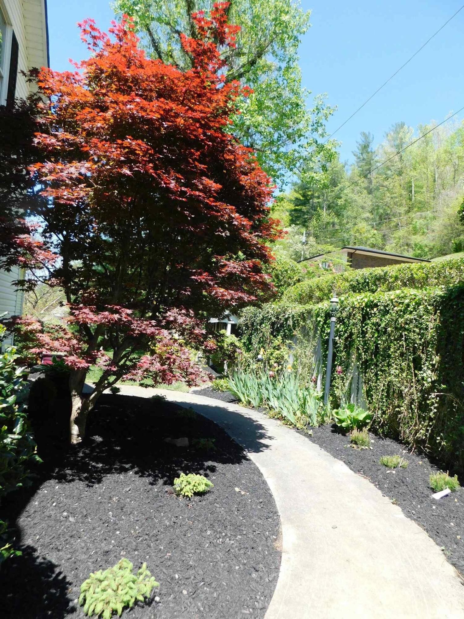 55 Timbercrest Estates Road Harlan, KY 40831 - Photo 159 of 198 f6f1e145-63f0-4ba7-82aa-16d4eec5d908 - C