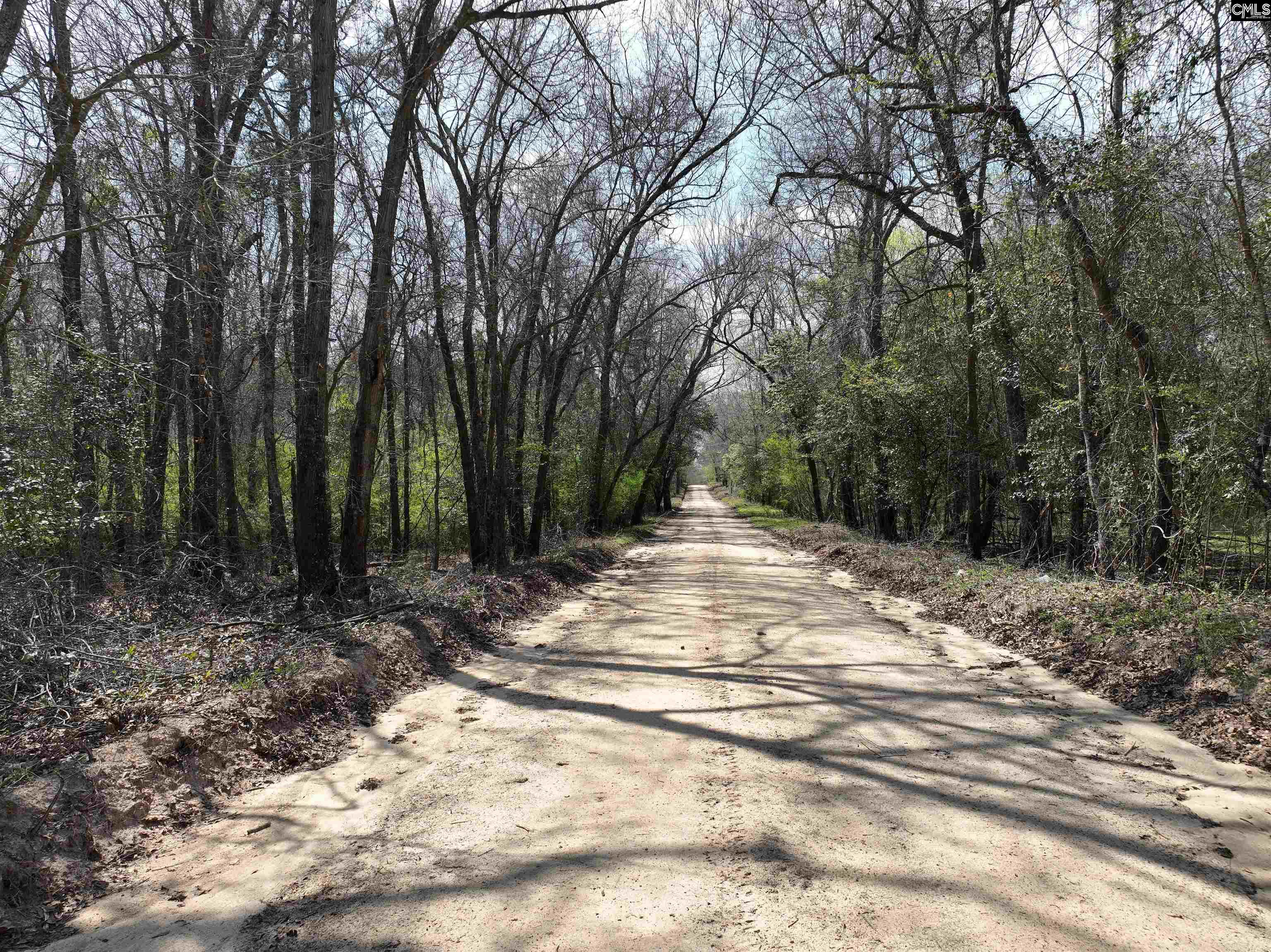 0 Dr Boylston Road Salley, SC 29137 - Photo 41 of 41