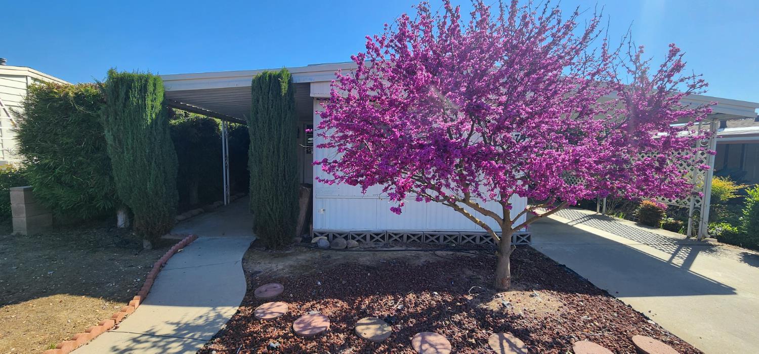 1300 West Olson Avenue, Unit 179 Reedley, CA 93654 - Photo 2 of 39 a view of backyard with green space