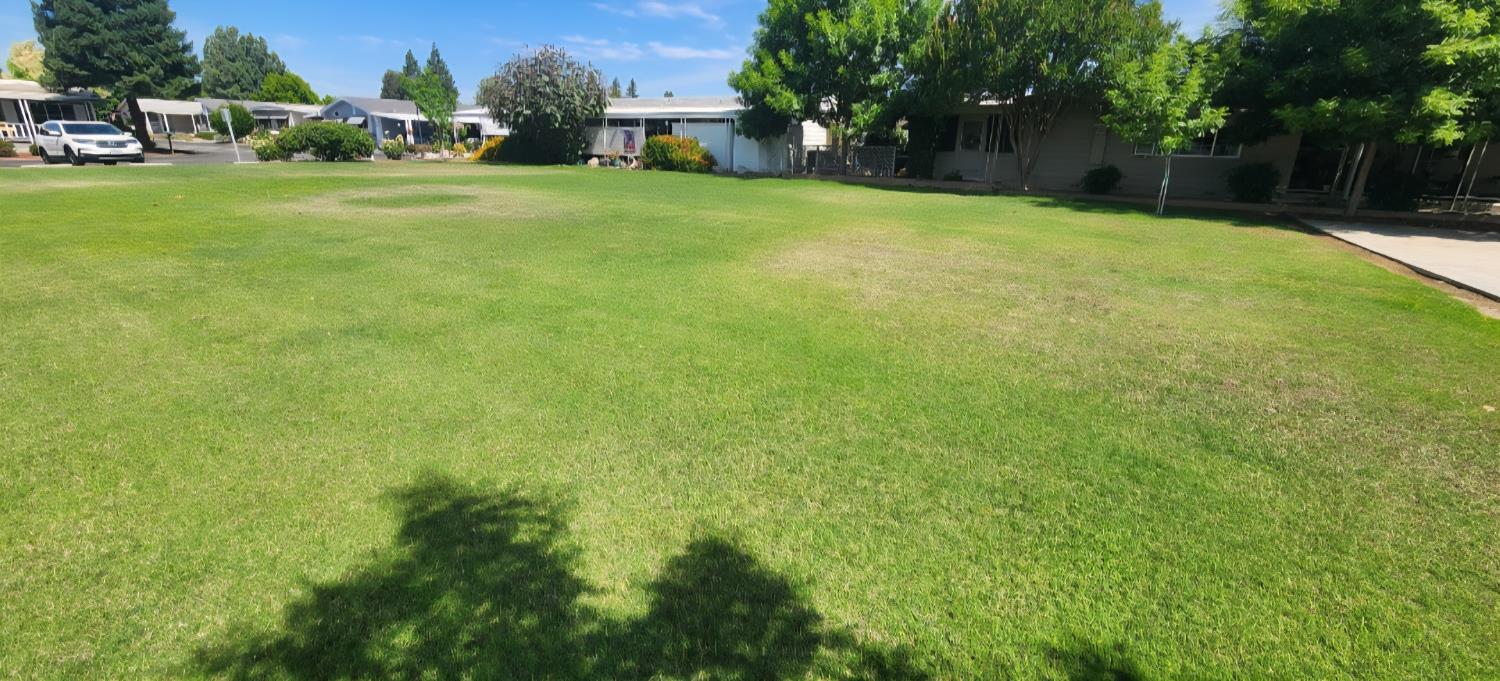 1300 West Olson Avenue, Unit 179 Reedley, CA 93654 - Photo 26 of 39 a view of a field of grass and trees