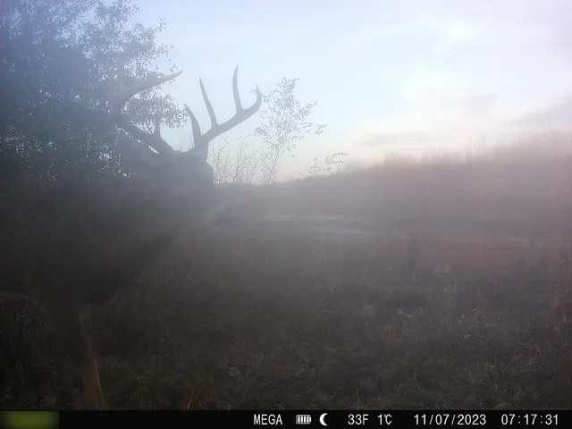 $284,890 | B Highway, Cainsville, MO 64632