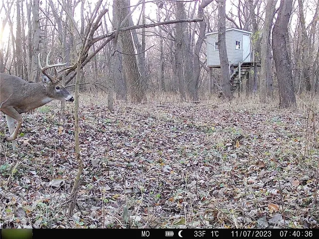 $284,890 | B Highway, Cainsville, MO 64632