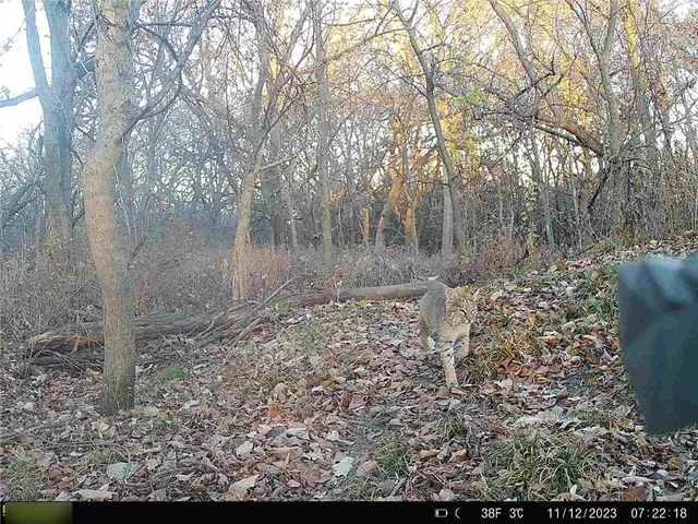 $284,890 | B Highway, Cainsville, MO 64632