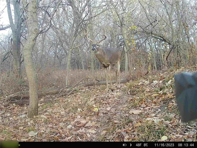 $284,890 | B Highway, Cainsville, MO 64632