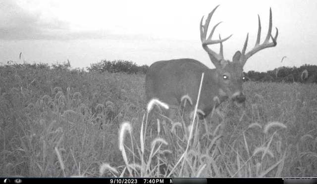 $284,890 | B Highway, Cainsville, MO 64632