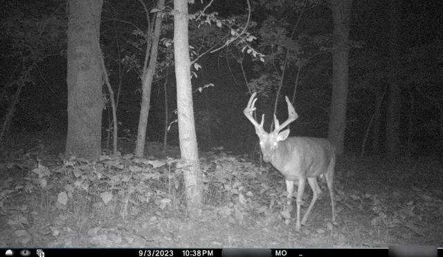 $284,890 | B Highway, Cainsville, MO 64632