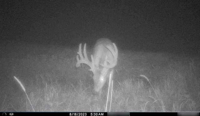 $284,890 | B Highway, Cainsville, MO 64632