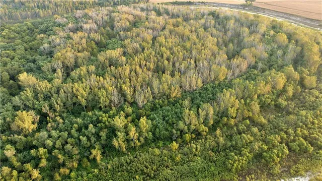 $284,890 | B Highway, Cainsville, MO 64632