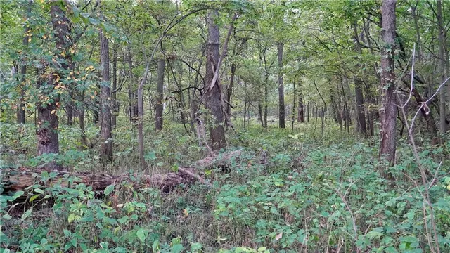 $284,890 | B Highway, Cainsville, MO 64632