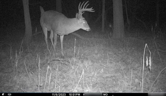 $284,890 | B Highway, Cainsville, MO 64632