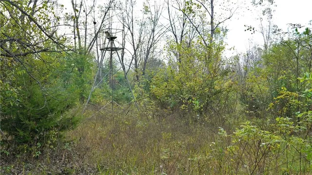 $284,890 | B Highway, Cainsville, MO 64632