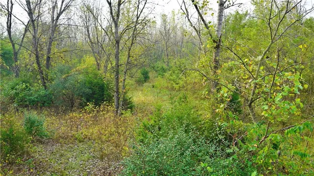 $284,890 | B Highway, Cainsville, MO 64632