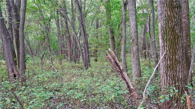 $284,890 | B Highway, Cainsville, MO 64632