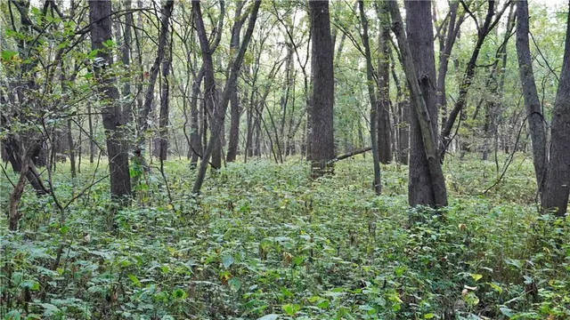 $284,890 | B Highway, Cainsville, MO 64632