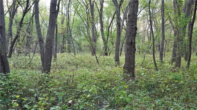 $284,890 | B Highway, Cainsville, MO 64632