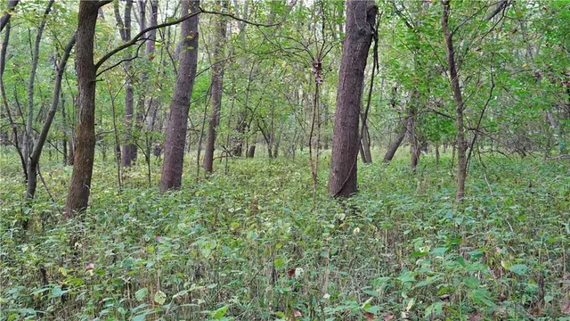 $284,890 | B Highway, Cainsville, MO 64632