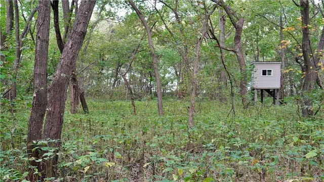 $284,890 | B Highway, Cainsville, MO 64632