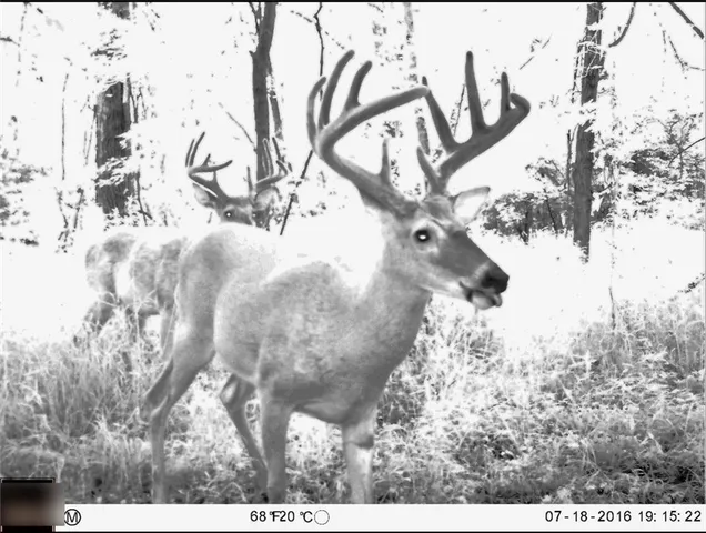 $284,890 | B Highway, Cainsville, MO 64632