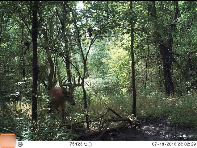 $284,890 | B Highway, Cainsville, MO 64632