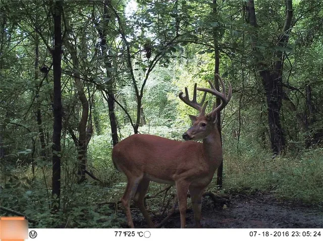 $284,890 | B Highway, Cainsville, MO 64632