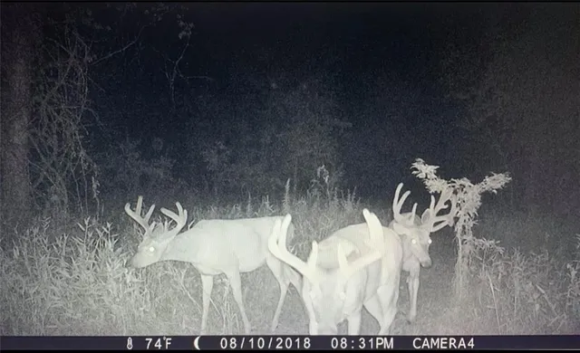 $284,890 | B Highway, Cainsville, MO 64632