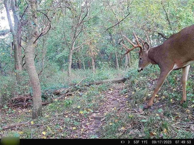 $284,890 | B Highway, Cainsville, MO 64632