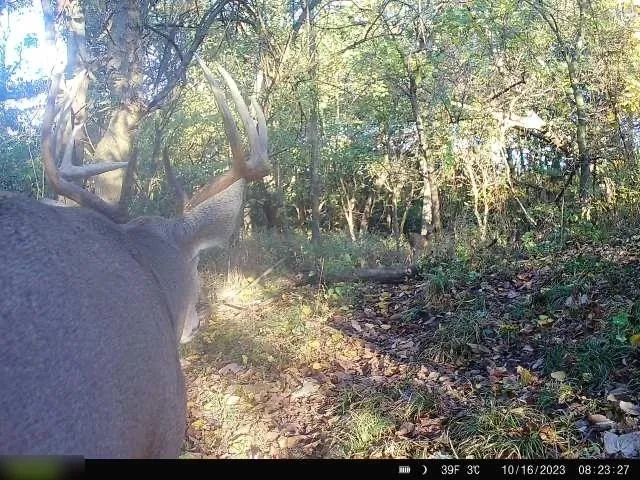 $284,890 | B Highway, Cainsville, MO 64632