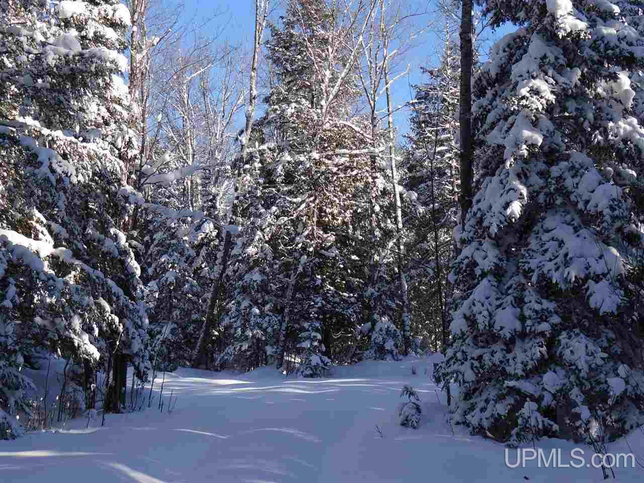 Tbd Irwin Road Baraga, MI 49908 - Photo 14 of 27