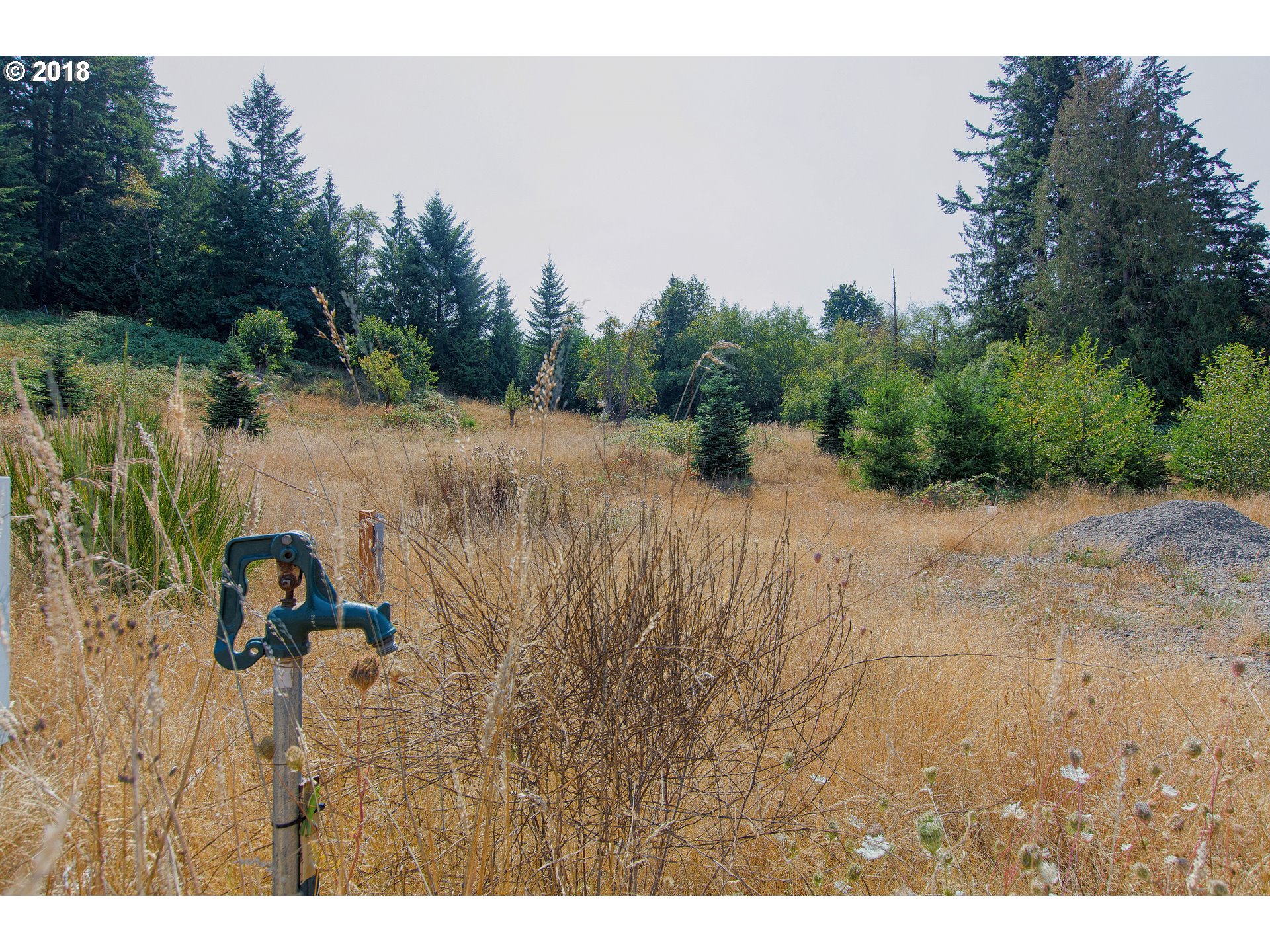 19723 South Ferguson Road Oregon City, OR 97045 - Photo 13 of 23 a view of a lake view