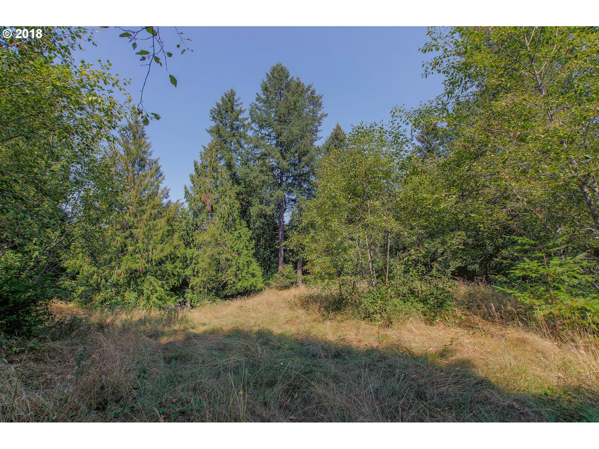 19723 South Ferguson Road Oregon City, OR 97045 - Photo 20 of 23 a view of a yard