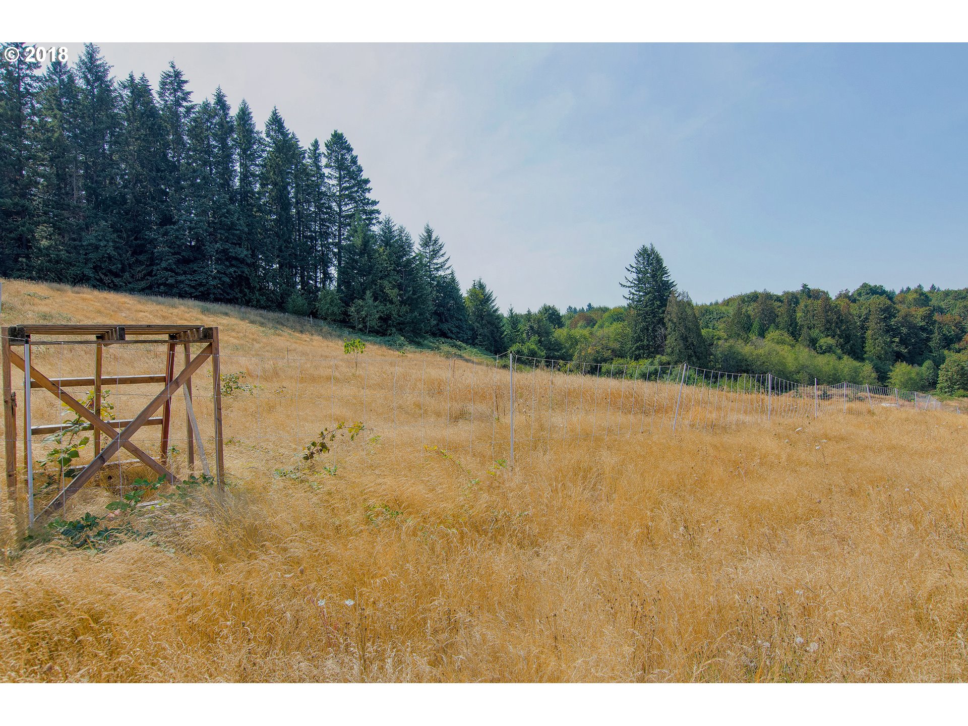 19723 South Ferguson Road Oregon City, OR 97045 - Photo 5 of 23 a view of a yard
