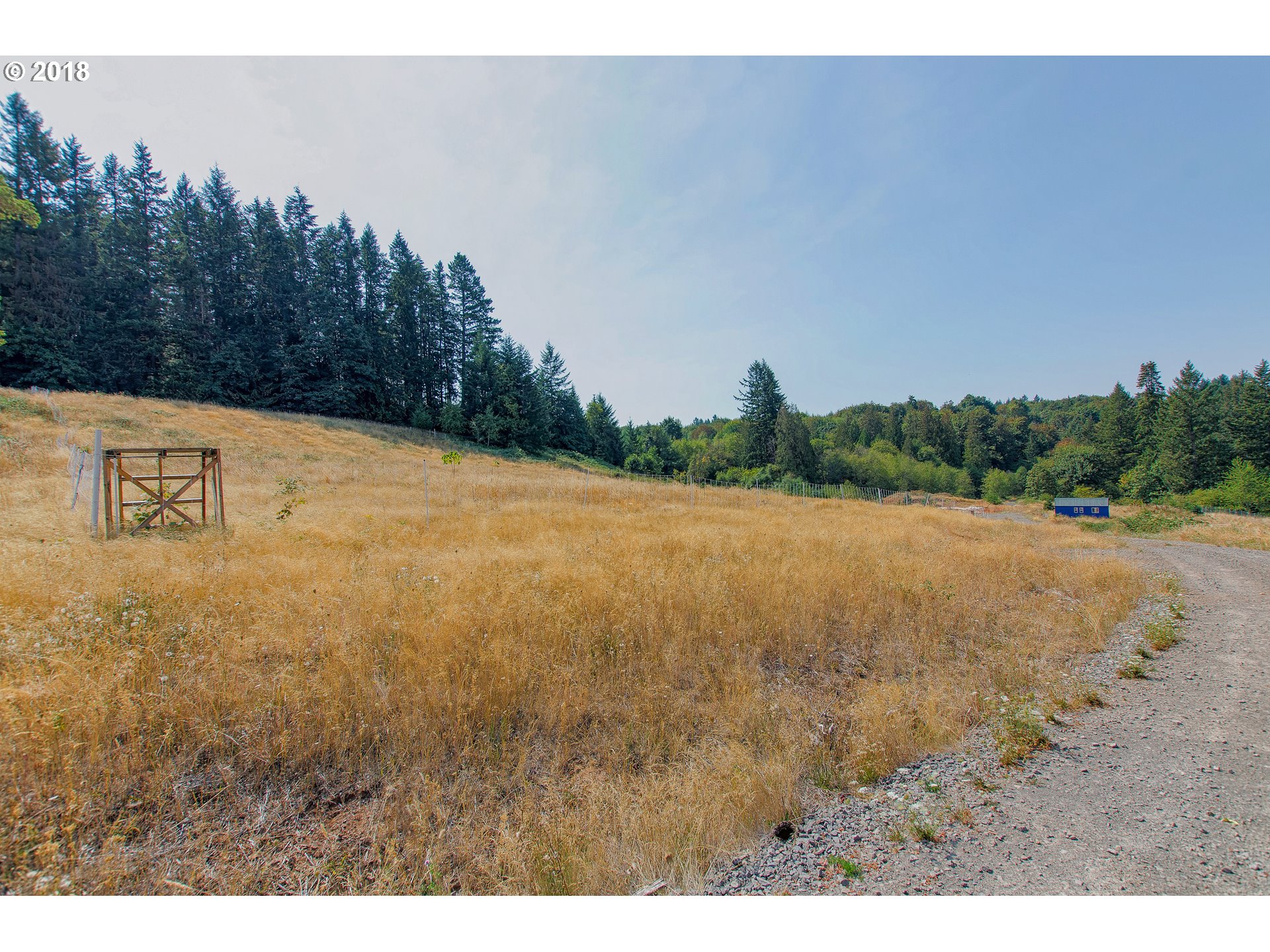 19723 South Ferguson Road Oregon City, OR 97045 - Photo 6 of 23 a view of a yard with a tree
