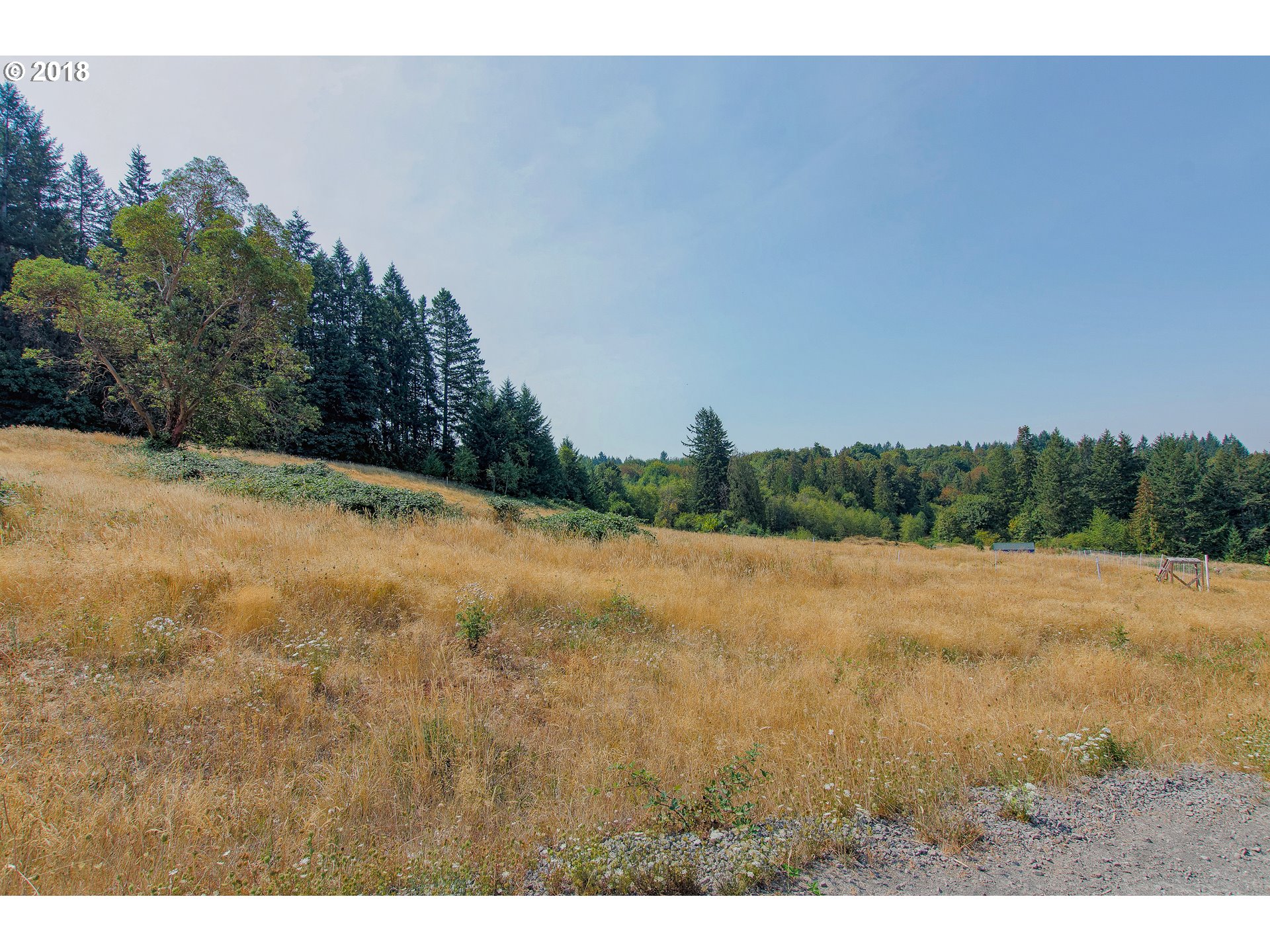 19723 South Ferguson Road Oregon City, OR 97045 - Photo 8 of 23 a view of outdoor space and yard