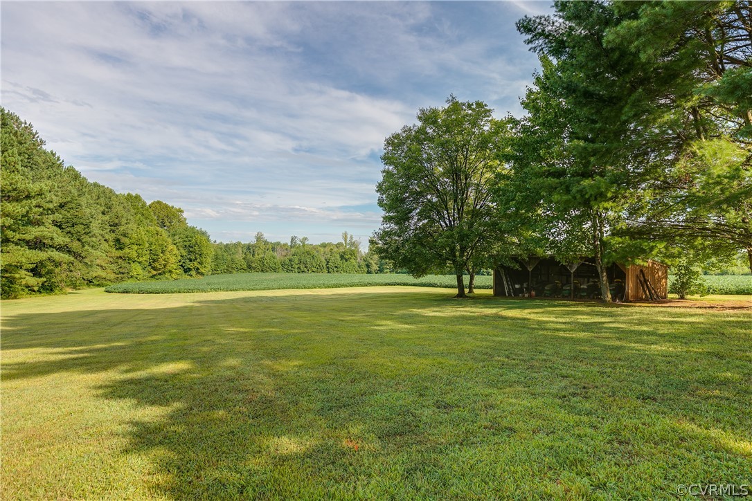 20404 Anderson Mill Road Beaverdam, VA 23015 - Photo 40 of 40 a big yard with lots of green space