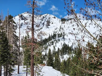 $769,000 | 2090 Chalet Road, Unit 2, Olympic Valley, CA 96146