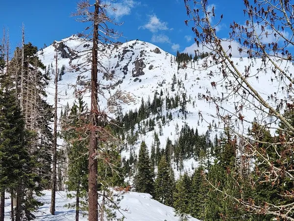 $769,000 | 2090 Chalet Road, Unit 2, Olympic Valley, CA 96146