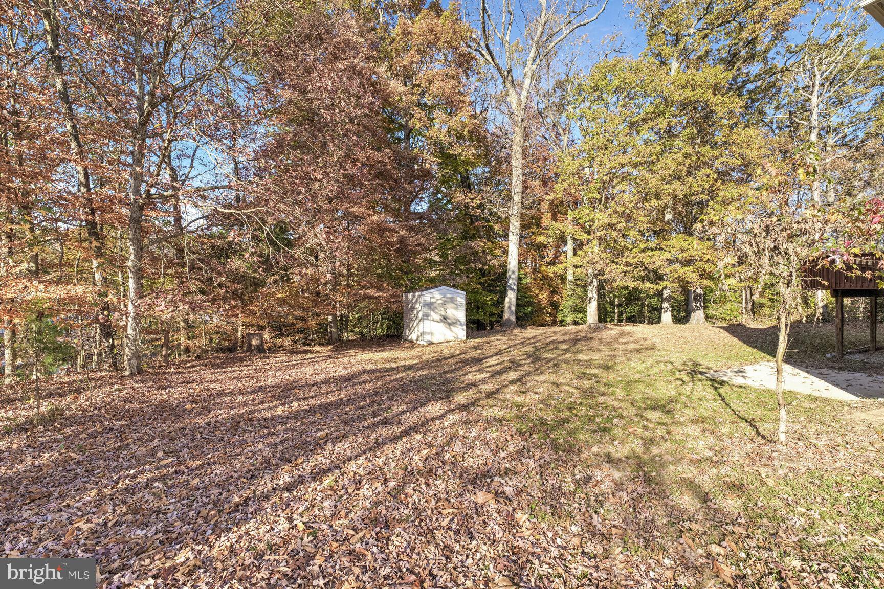 501 Dobbin Court Accokeek, MD 20607 - Photo 6 of 38 a street view with large trees