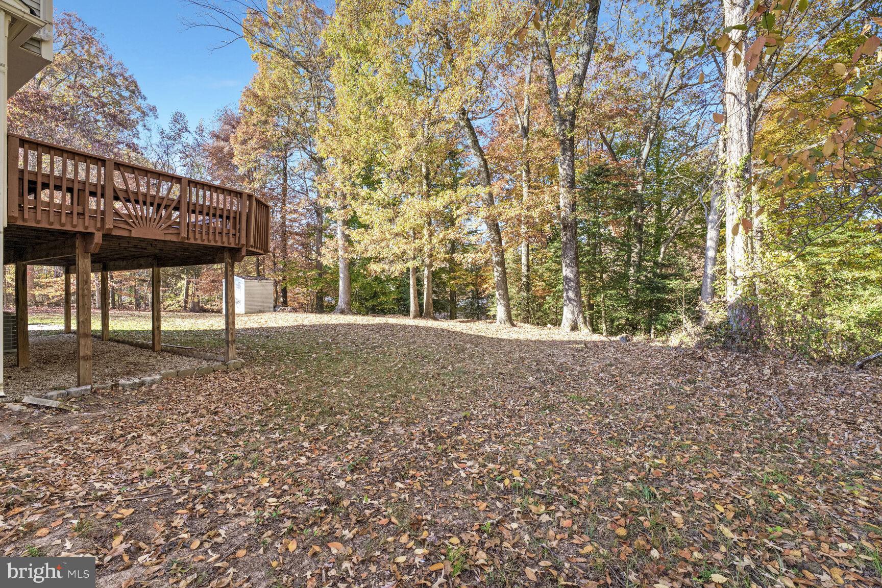 501 Dobbin Court Accokeek, MD 20607 - Photo 7 of 38 a view of a backyard with large trees