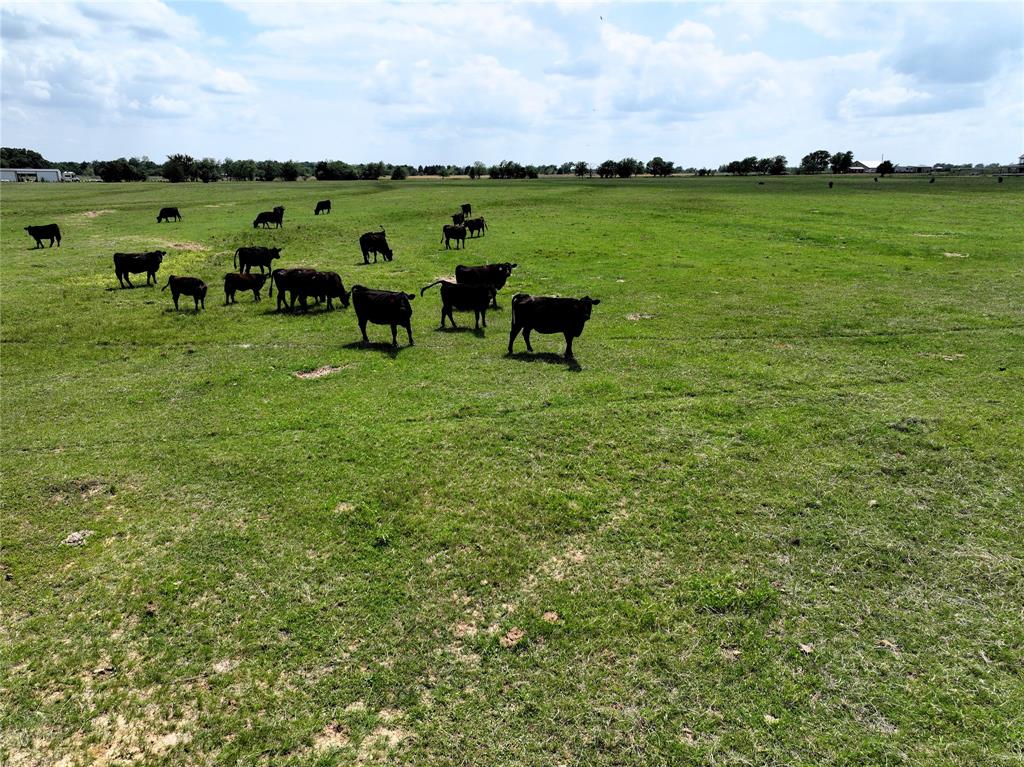 800 County Road 2807 Mabank, TX 75147 - Photo 9 of 40 a view of a golf course with chairs
