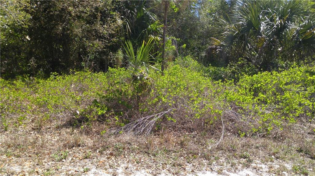 Surprise Rd Port North Port, FL 34288 - Photo 1 of 1 Gallery Image 1