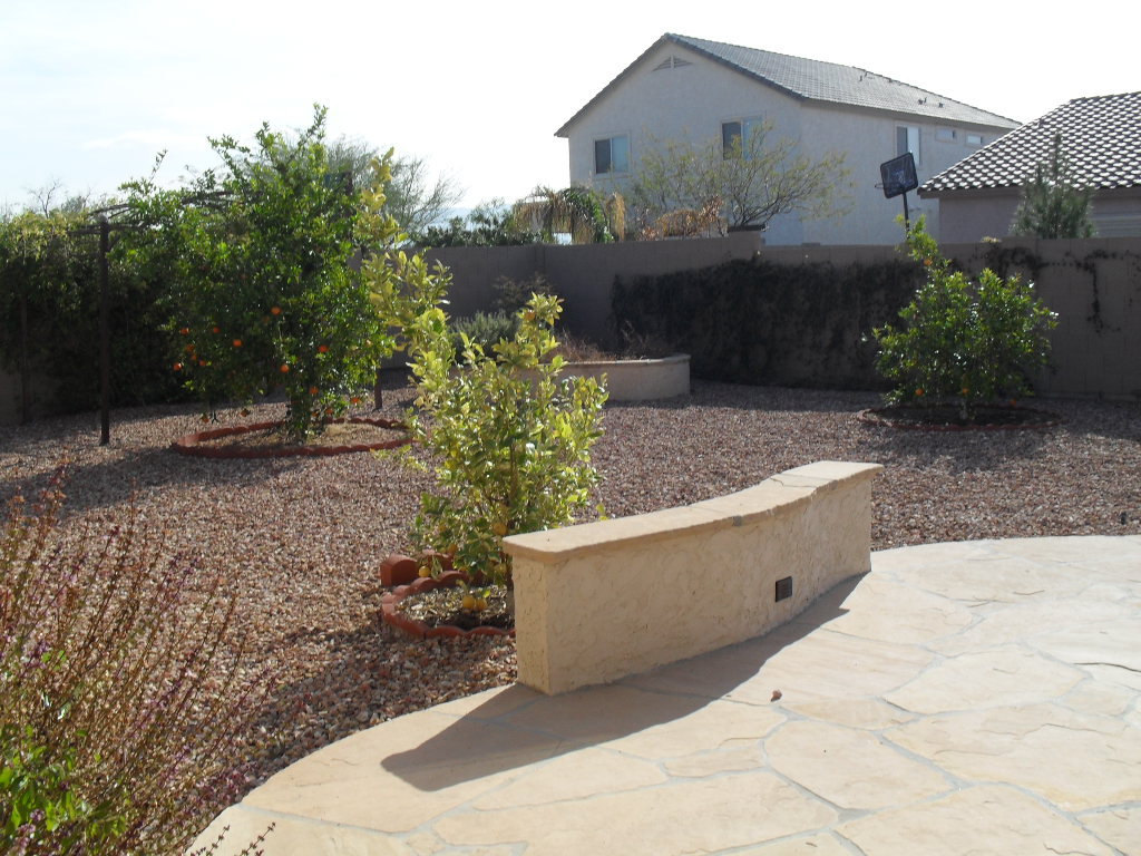 2007 West Vineyard Road Phoenix, AZ 85041 - Photo 11 of 12 Backyard