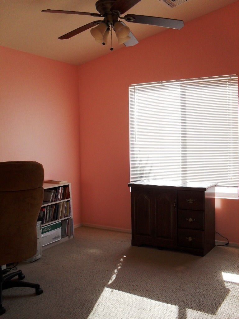 2007 West Vineyard Road Phoenix, AZ 85041 - Photo 10 of 12 Bedroom 3