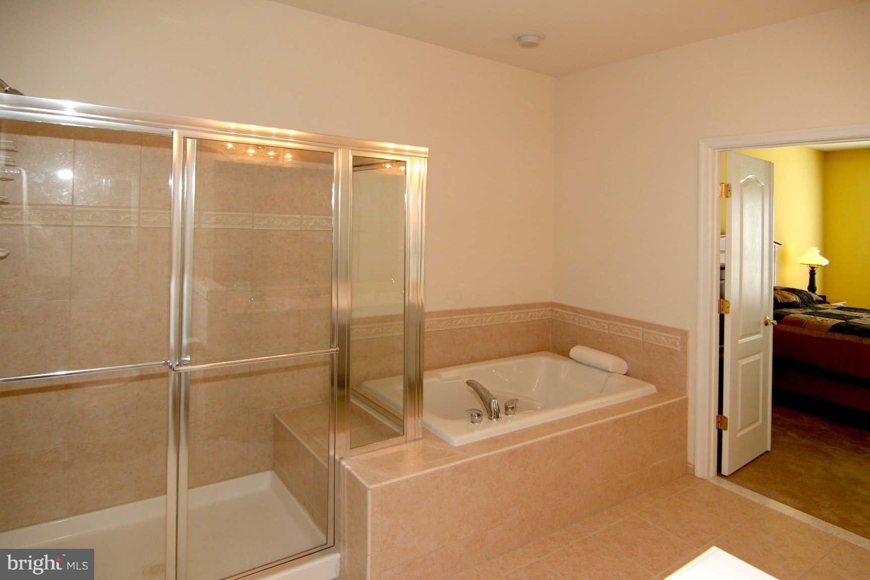 8237 Academy Road, Unit 39 Ellicott City, MD 21043 - Photo 14 of 22 Bath (Master)