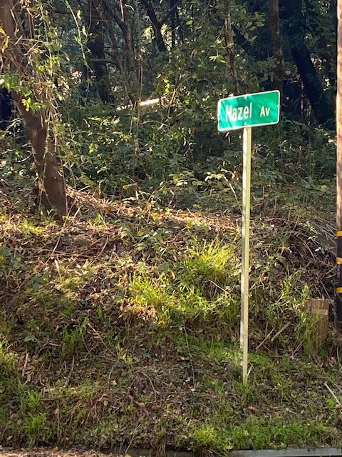 0 Big Basin Way Boulder Creek, CA 95006 - Photo 4 of 4 a view of a tree in a yard