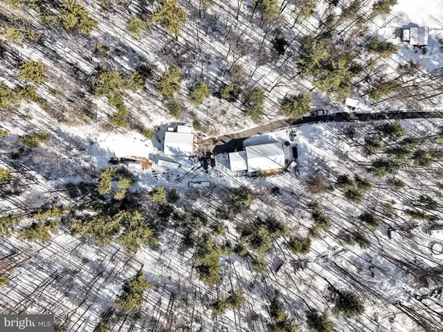 a view of a tree in a field
