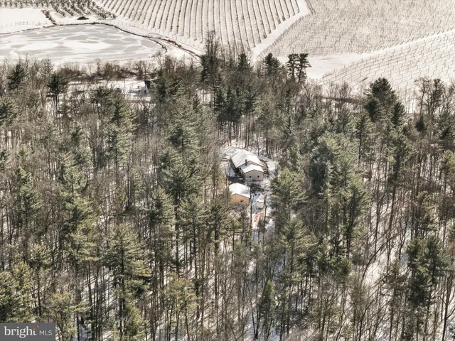 a view of yard with green space