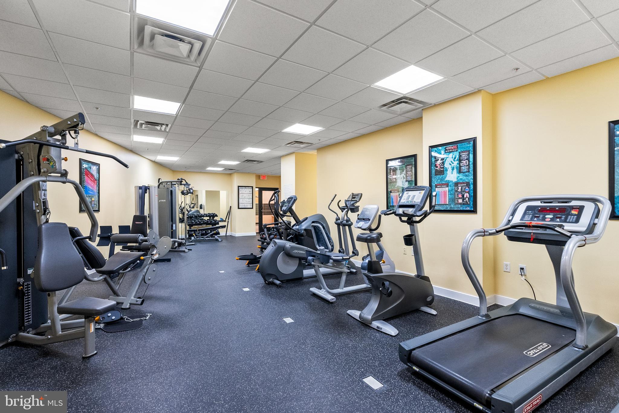 8045 Newell Street, Unit 512 Silver Spring, MD 20910 - Photo 40 of 49 Fitness Center